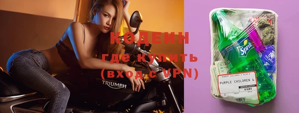 ГАЛЛЮЦИНОГЕННЫЕ ГРИБЫ Абаза