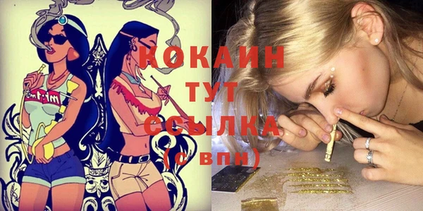 ГАЛЛЮЦИНОГЕННЫЕ ГРИБЫ Абаза