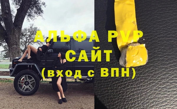 дживик Осинники