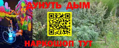 стафф Абакан