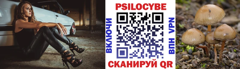 Псилоцибиновые грибы Cubensis  MEGA   Абинск  наркотики 
