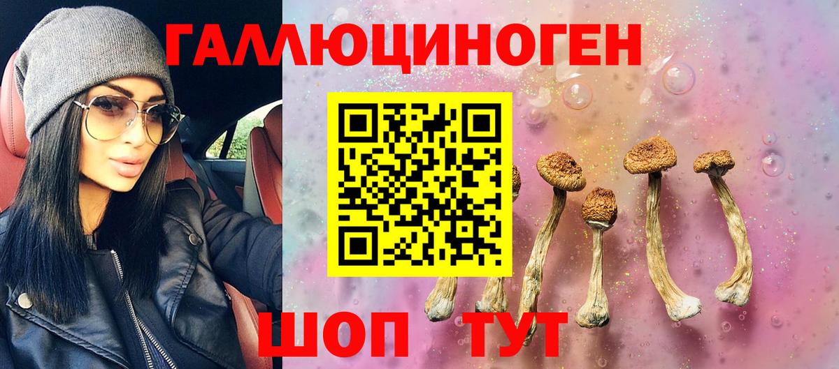 Галлюциногенные грибы Magic Shrooms Абинск