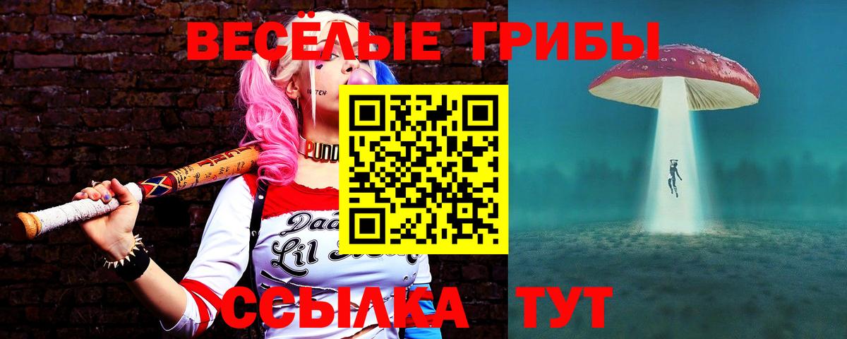 Галлюциногенные грибы GOLDEN TEACHER  Псилоцибиновые грибы Magic Shrooms  Абинск  Вход с VPN 